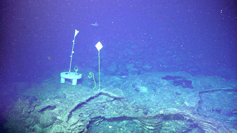 Assorted contraptions at the base of the western caldera wall of the Axial Seamount volcano.