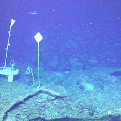 Assorted contraptions at the base of the western caldera wall of the Axial Seamount volcano.
