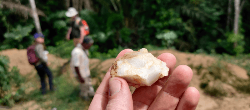 Part of a human-made tool discovered at Bété I in Côte d’Ivoire, West Africa.