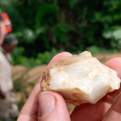 Part of a human-made tool discovered at Bété I in Côte d’Ivoire, West Africa.