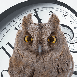 an owl and a lark, against an abstract clock background