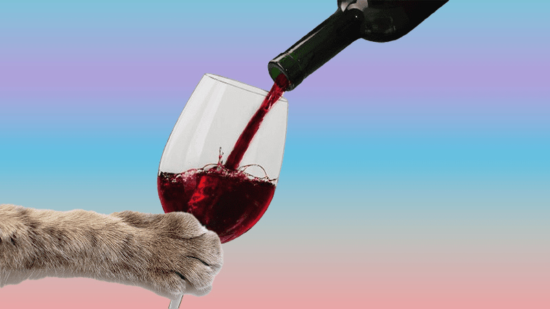 a cat paw holding a wine glass, with wine being poured into it