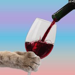a cat paw holding a wine glass, with wine being poured into it