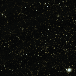 thousands of small dots of light are visible in this image