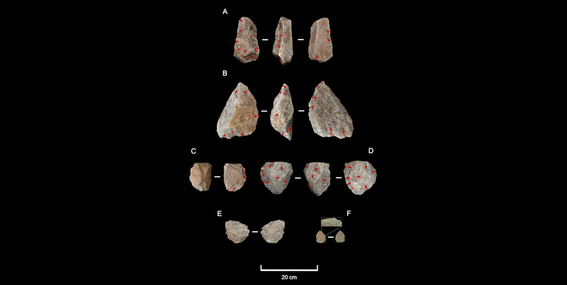 Stone tools from Engaji Nanyori 1.2-1 million years ago show extra work compared to those earlier and elsewhere, assisting more efficient butchery of prey.