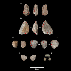 Stone tools from Engaji Nanyori 1.2-1 million years ago show extra work compared to those earlier and elsewhere, assisting more efficient butchery of prey.