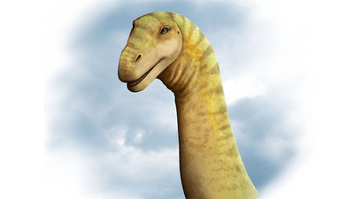 Head and neck of a smiley green dinosaur showing little teeth