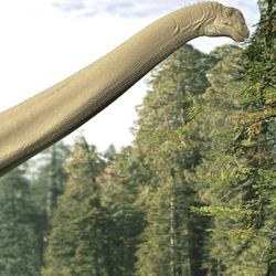 Artist impression of Diamantinasaurus matildae feeding.