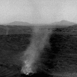 Several dust devils on Mars.