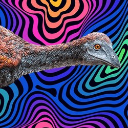 drawing of extinct elephant bird, a massive, flightless bird with no tail and really big legs, against a trippy, swirly background in purples, blues, greens and yellows