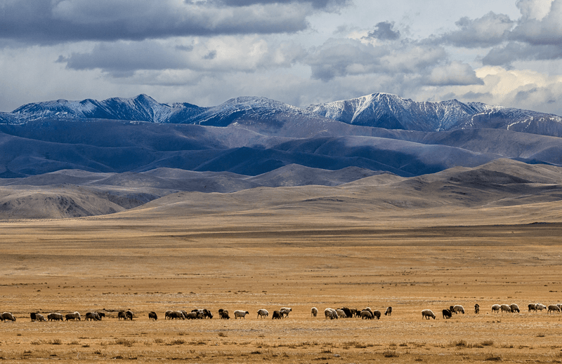 The beautiful badlands of the Eurasian Steppe in Western Mongolia.