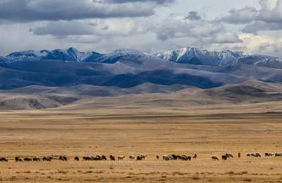 The beautiful badlands of the Eurasian Steppe in Western Mongolia.