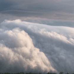 A pretty spectacular wave of fog rolls over in the sky. It looks like an ocean wave but is entirely white. 