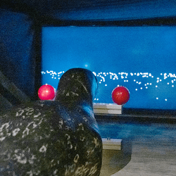 A seal lies on its stomach looking at a screen with white dots. On the left and right of the seal are two red balls.