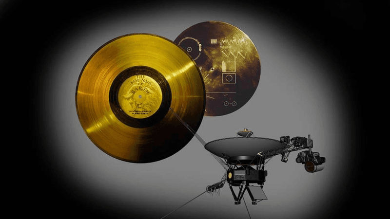 Among all the sounds on the Golden Records are the brainwaves of Ann Druyan, thinking about being in love with Carl Sagan, the records' other creator.