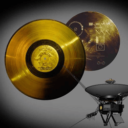 Among all the sounds on the Golden Records are the brainwaves of Ann Druyan, thinking about being in love with Carl Sagan, the records' other creator.