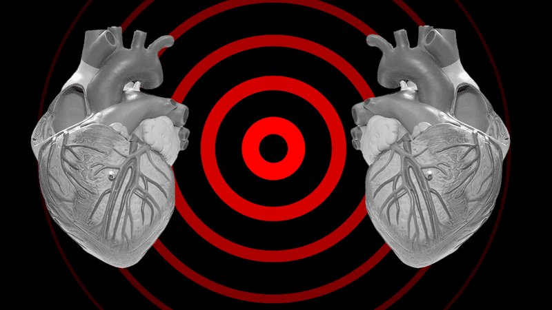 two grey anatomical heart models are mirrored, with a series of red concentric circles behind them on a black background