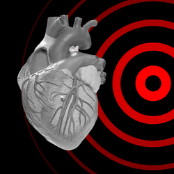 two grey anatomical heart models are mirrored, with a series of red concentric circles behind them on a black background