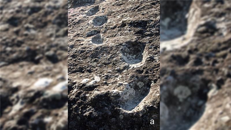 Homo heidelbergensis footprints on ignimbrite rock in Italy