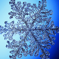 a large snow crystal on a blue background