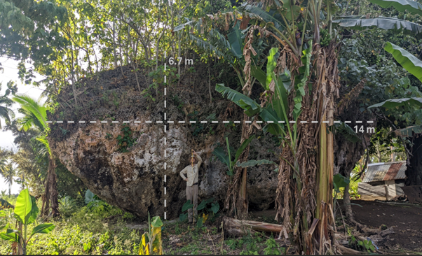 Maka Lahi with measurements marked on, and a human for scale. Maka Lahi with measurements marked on, and a human for scale.