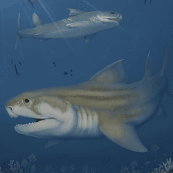 Illustration of Glikmanius careforum and Troglocladodus trimblei
