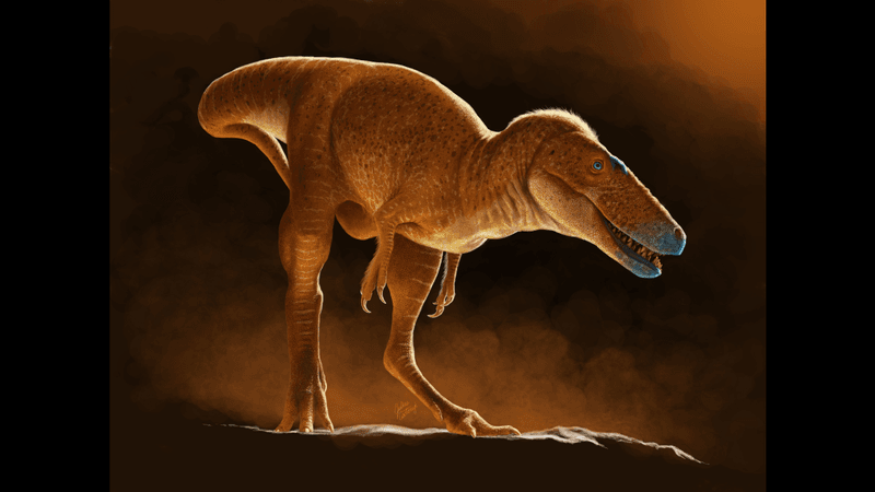 an illustration of a new species of dinosaur, it is small in size compared to t rex with a long snout