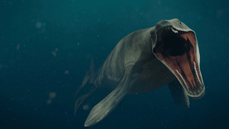 a mosasaurus with its mouth open