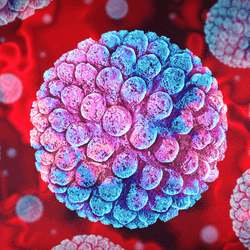 3D illustration of a norovirus particle on the left and a bottle with white pills spilling out on to a pale turquoise background on the right