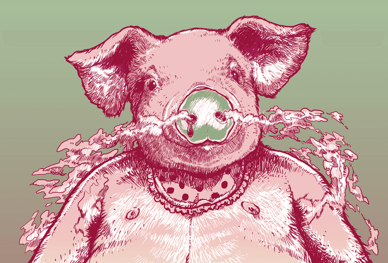 Cartoon illustration of a Pig Man