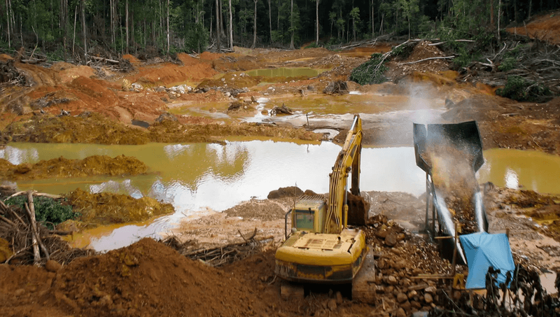 Gold miners in the peatlands of the Peruvian Amazon rainforest, using diggers.