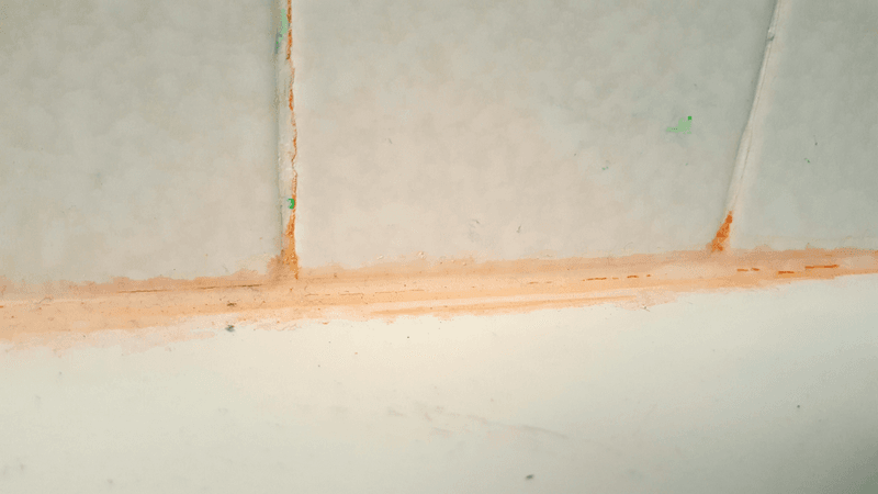 pink slime on the grating between tiles in a bathroom