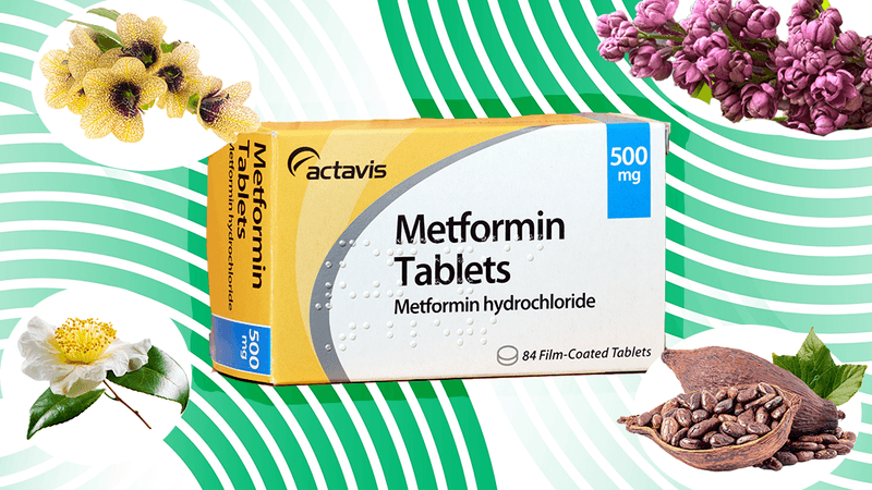 a collage image showing a photo of Metformin box, belladonna, cocoa beans, French lilac, and tea flower.