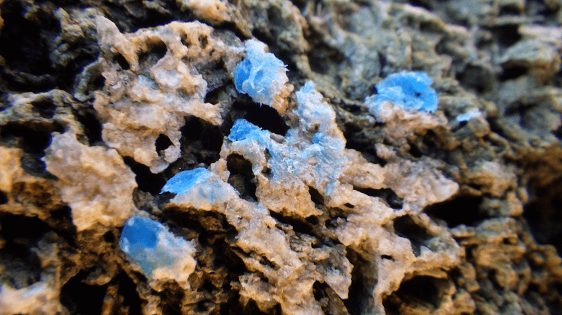 Blue plasticrust seen in Giglio island, Italy in 2019.  