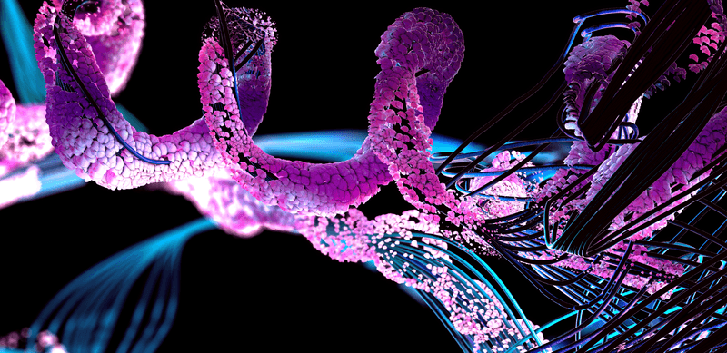 Chain of amino acid or bio molecules called protein - 3d illustration