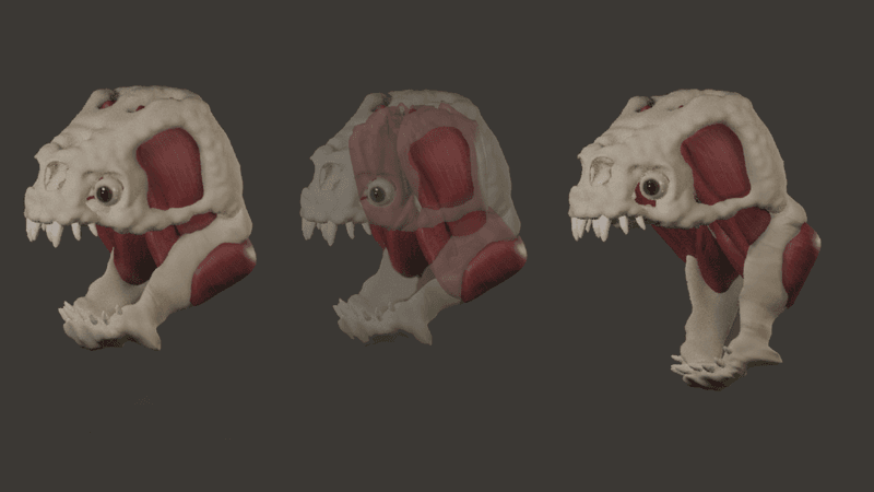 rancor with all its skin removed so you can see the musculature of its jaw