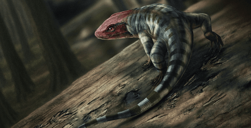 Artist's impression of the creator of the oldest set of tracks made by a reptile-like creature.