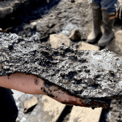 A Roman leather shoe from Magna Fort