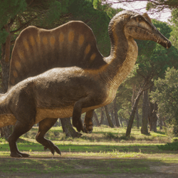 spinosaurus with big sail and paddle-like tail