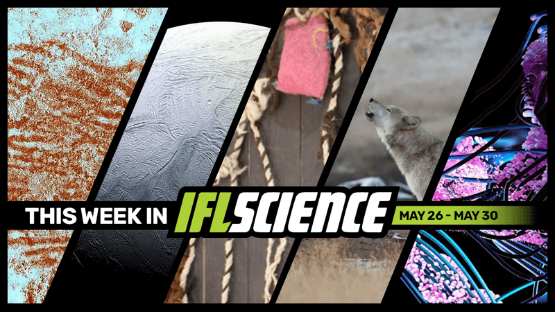 All the biggest science news stories of the week.