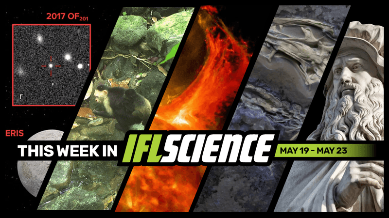 All the biggest science news stories of the week.