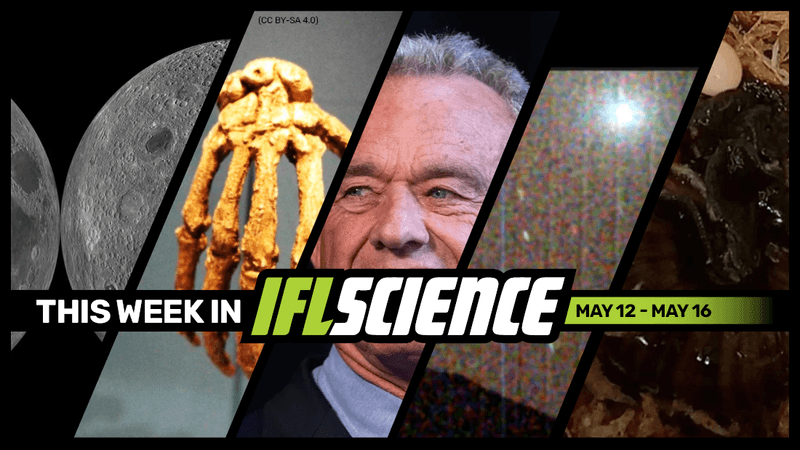 All the biggest science news stories of the week.