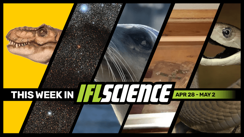 All the biggest science news stories of the week.