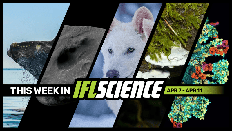All the biggest science news stories of the week.