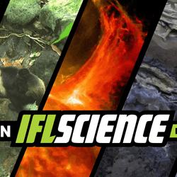 All the biggest science news stories of the week.
