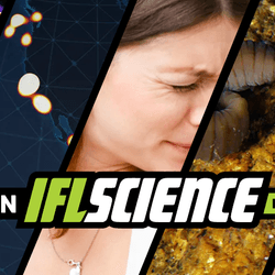 All the biggest science news stories of the week.