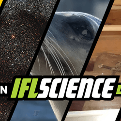 All the biggest science news stories of the week.