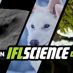 All the biggest science news stories of the week.