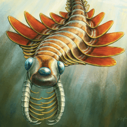 Life reconstruction of Mosura fentoni. It has three eyes and big mandibles