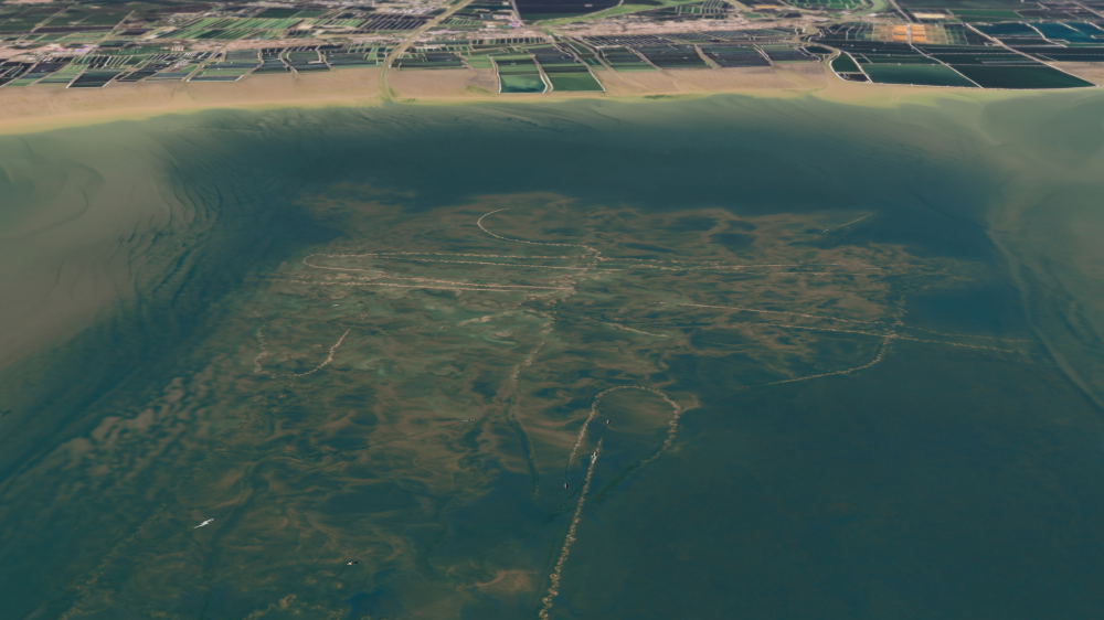 An aerial view of the impacts of bottom trawling on the ocean floor, showing plumes carved in all directions, destroying the seabed